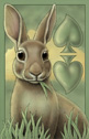 Stephanie Marie Bittler - 2 of Spades - eastern cottontail